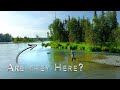 Locals only spot exposed kenai river trout and salmon fishing soldotna alaska 2022