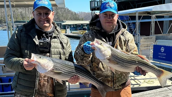 Guided Striper Fishing Trip on Lake Cumberland