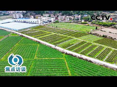 度过医疗费危机、告别危房重建新家……脱贫之后，“一个都不能少”的这五年 | CCTV「焦点访谈」20260225