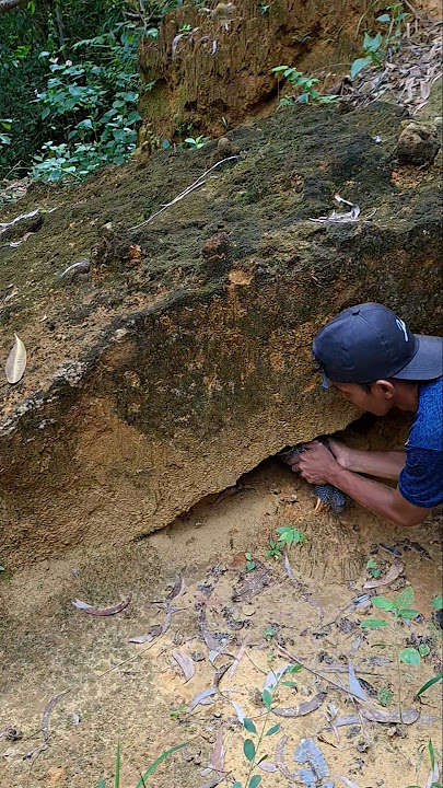 Download lagu there is something under the rock #videoshort