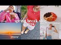 Spring break week vlog  friends thrifting braces off hauls  more