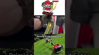 The Priming System is SO Awesome on this Weed Eater Carburetor