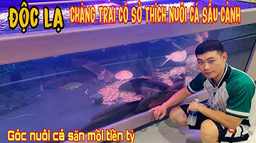 Độc lạ thú nuôi Cá Sấu cảnh và cá săn mồi tiền tỷ của chàng trai 9x Sài Thành-Thái Salem vê lốc