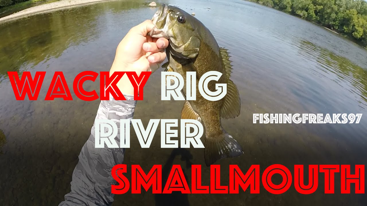 Wacky rig for smallmouth bass Clearance