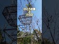 鉄塔を見上げたら1本の白線が... #Shorts
