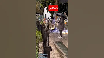 مرحبا في شفشاون الحمدالله القزابري اقنباسات اكسبلور دويتو مرحبا 