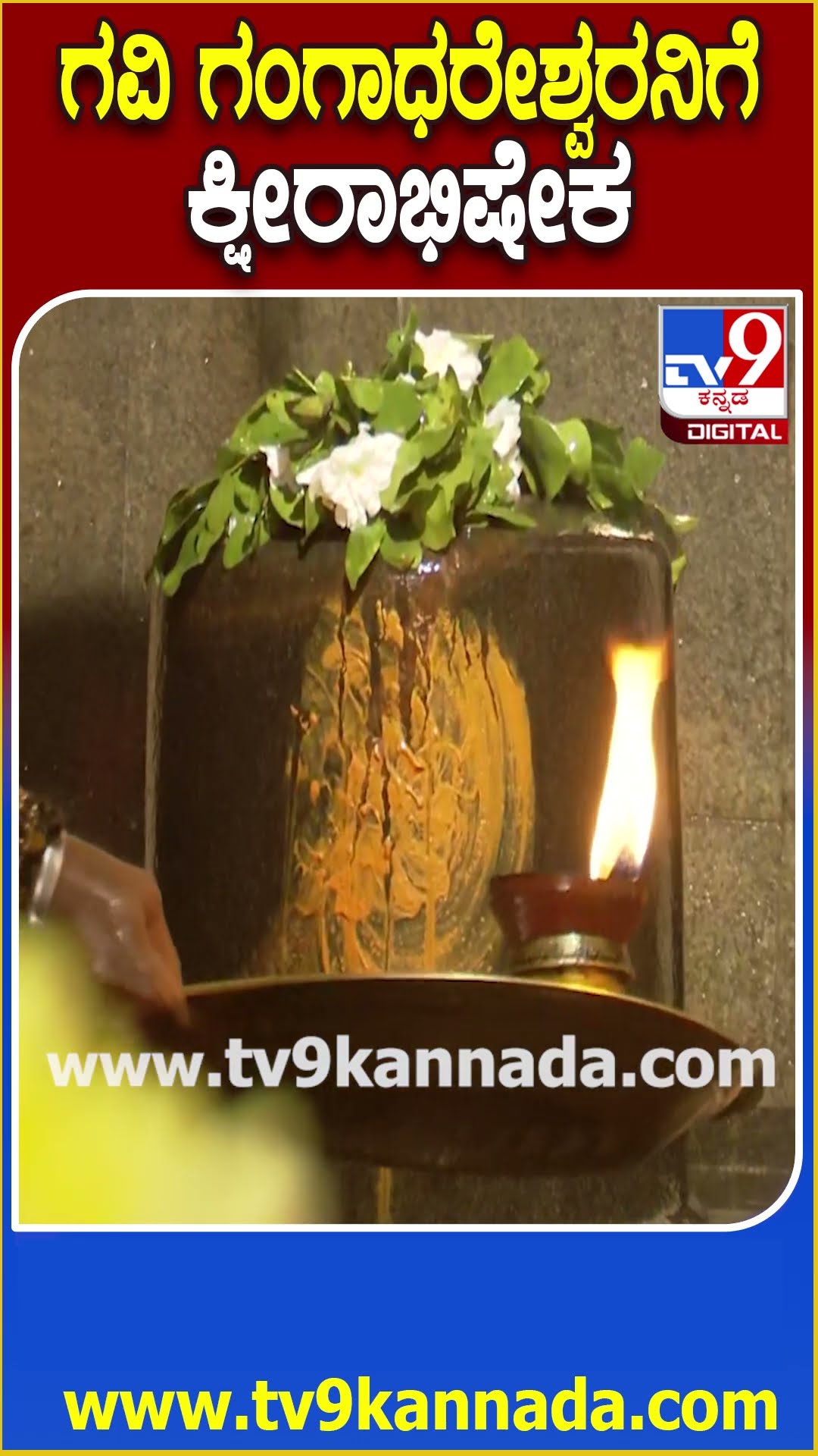 ಬೆಂಗಳೂರಿನ ಗವಿ ಗಂಗಾಧರೇಶ್ವರ ದೇಗುಲದಲ್ಲಿ ಶಿವರಾತ್ರಿ ವಿಶೇಷ ಪೂಜೆ| #TV9D