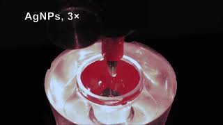 3D Printed Bionic Eye