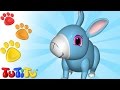 Animali TuTiTu in italiano | Coniglio E altri Animali