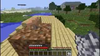 How To Grow Mushrooms in Daylight Without Mycelium