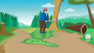 Forest are renewable resources