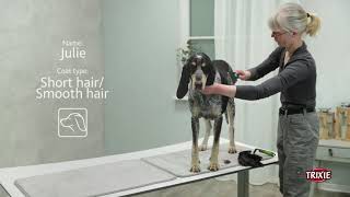Deshedding and Thinning Tool for Pets - TRIXIE Pet Products North America by TRIXIE UK 384 views 2 years ago 41 seconds