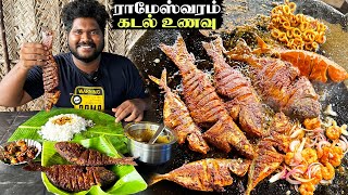 கடல் உணவு வேட்டை at Dhanushkodi 🔥 | Best Sea Food Place in Tamilnadu |