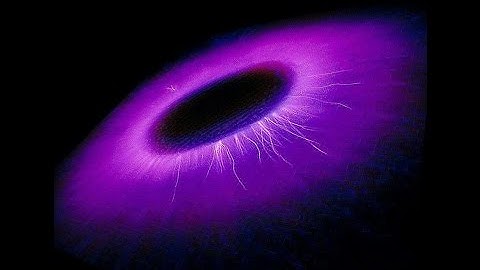 Color Coronal Spectral Analysis Prof  Ignatov  3D Filters Imaging Dr  Eliya Kostova