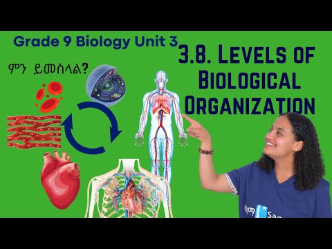 Grade 9 Biology Unit 3 8 Levels Of Biological Organization Saquama ሳቋማ 