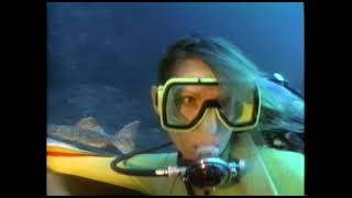 Woman Scuba Diver Swims With Manta Ray 1990S
