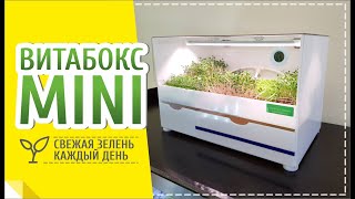Ферма МИНИ для выращивания микрозелени в ресторанах Ферма МИНИ для выращивания микрозелени в ресторанах