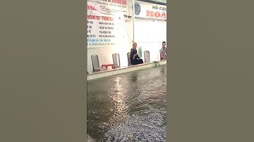 Tuyệt vời | Câu Tôm #shorts