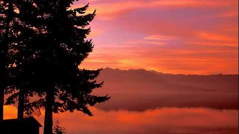 سورة الرعد بصوت القارئ محمد المهنا