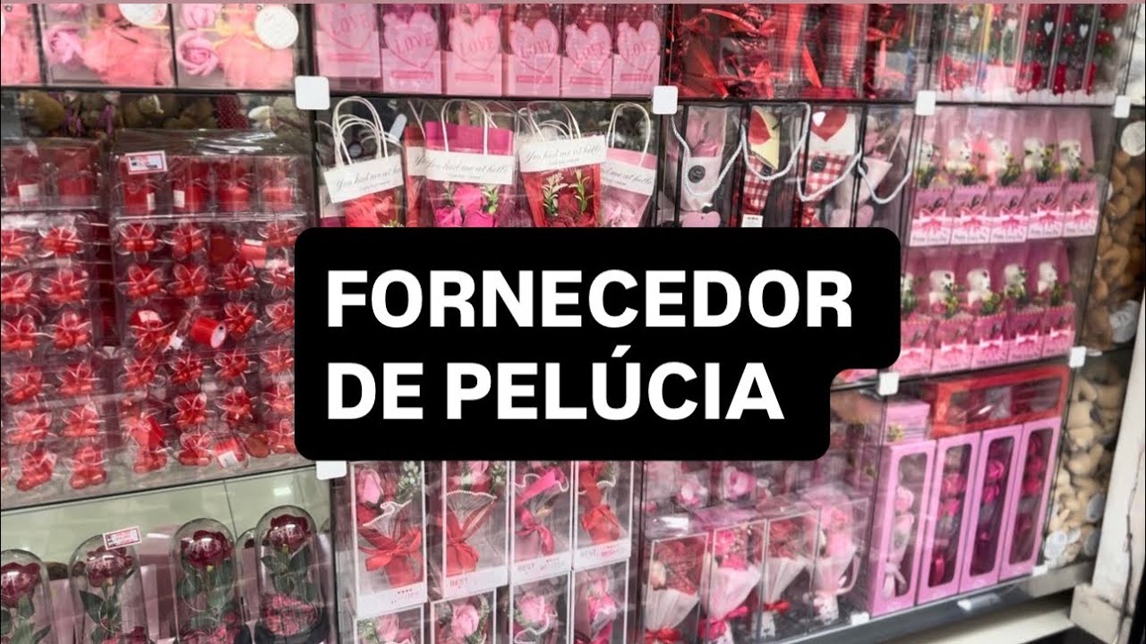 PREÇOS E NOVIDADES DAS PELÚCIAS! FUI BUSCAR PARA VOCÊ! 