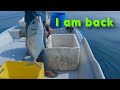 Big grouper hunting // longline fishing,