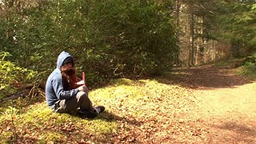 Robin Hood Interactive Video - Sequence 7 Don