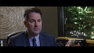 How Do I Report Elder Abuse? - Damore Law Group