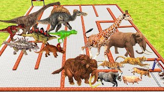Dinosaurs vs Animals Speed Race Swirl Course from Outside to Inside Animal Revolt Battle Simulator screenshot 3