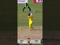 Matthew Short Smashes Consecutive Fours #PAKvAUS #BackTheBoysInGreen #TakraarKaTime M9J1H