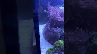 IMG 0947