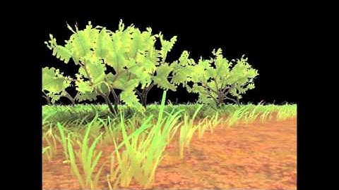 Damen Silo 3D Graphics