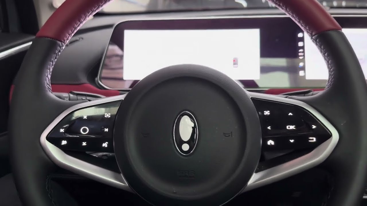 GWM ORA 03 GT - película de proteção interna (PPF Tela) - ArtsomAuto
