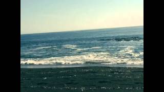 Playa Maule Coronel .