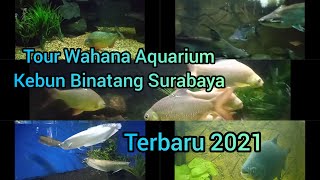 Kebun Binatang Surabaya Terkini 2021 Part 2 | Tour Wahana Aquarium Di KBS | Surabaya Zoo #zoo #kbs