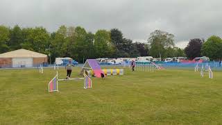 Cashy grade 1- 2 Agility - agility ability