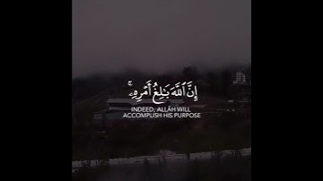 القارئ بدر التركي - ومن يتق الله يجعل له مخرجا