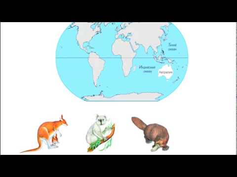 География. Материк Австралия. Сайт - игра Разумейкин