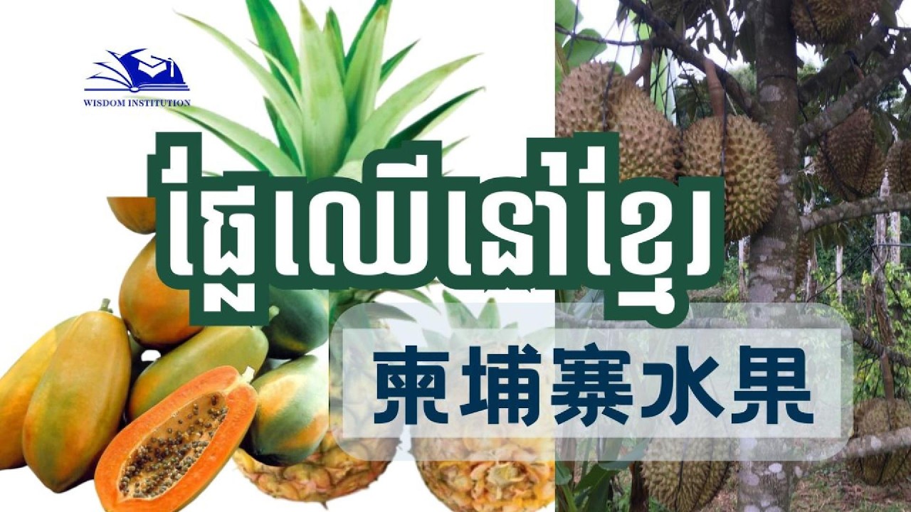 ផ្លែឈើជាភាសាចិន|​ 柬埔寨水果