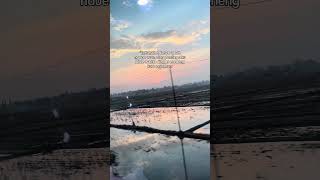 Terserah ndunyo arep ngopo #shortvideo #viralshort #storywa #naturevibes #storytime #rellsyoutube