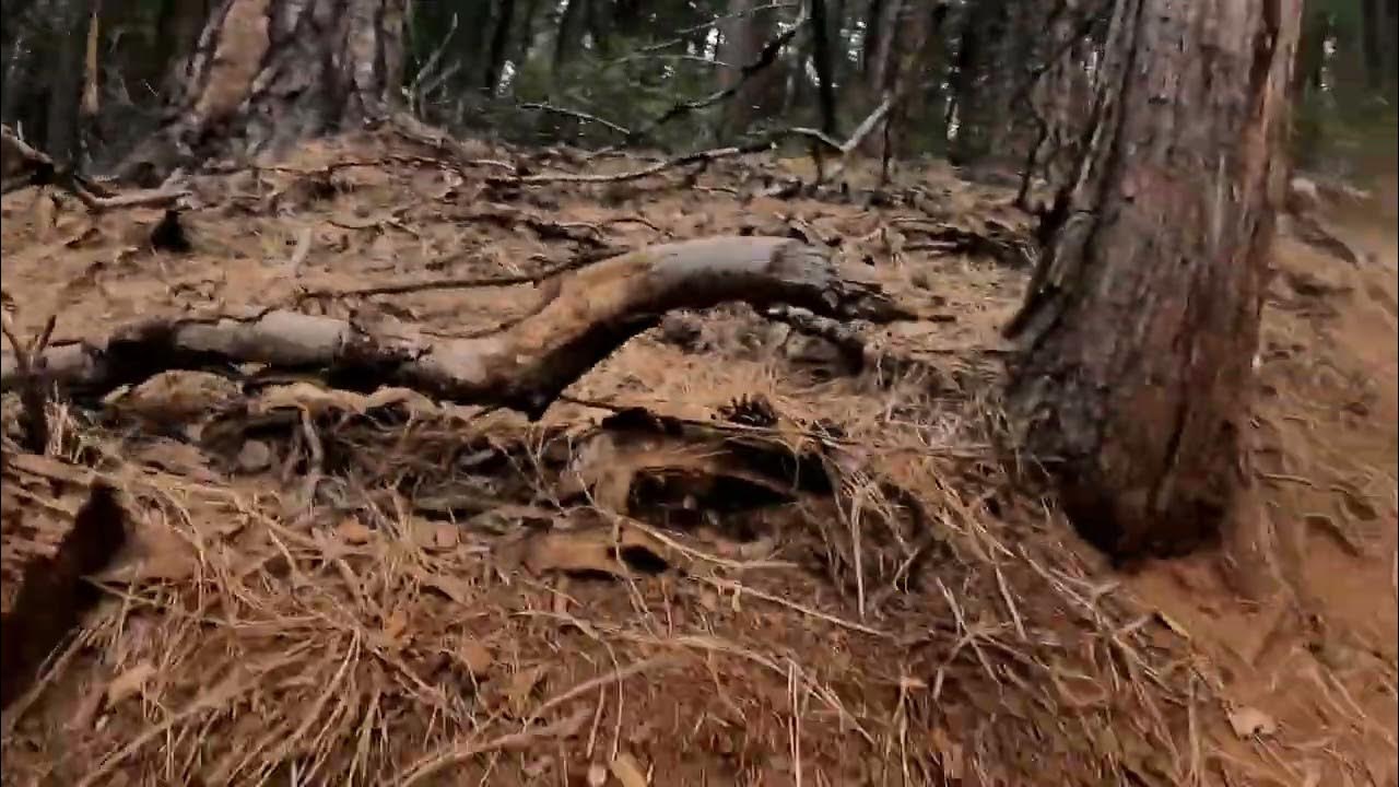 Sly Park, CA eMTB Yard Sale, 10.22.22 YouTube