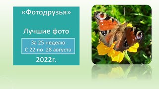 Фотодрузья 25 неделя