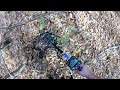 Minelab Go Find 44 field test in the woods! Part 1