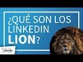 ¿Qué es un LINKEDIN LION? por Ángeles Carsi