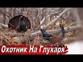 Охота на Глухаря  Документальный фильм ОХОТНИК НА ГЛУХАРЯ.