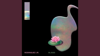 Video thumbnail of "Rodriguez Jr. - Polaroïd"