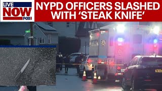 Stabbing in Queens: 4 dead, 7 stabbed, including 2 NYPD officers | LiveNOW from FOX