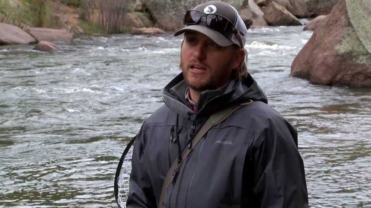Fly fishing 101 at Cheesman Canyon YouTube