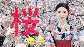 【Han &amp; Dotter】2018日本東京賞櫻熱點｜新宿御苑｜井之頭恩賜 ...