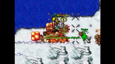 Open tibia aspackad.no-ip.org bot killing