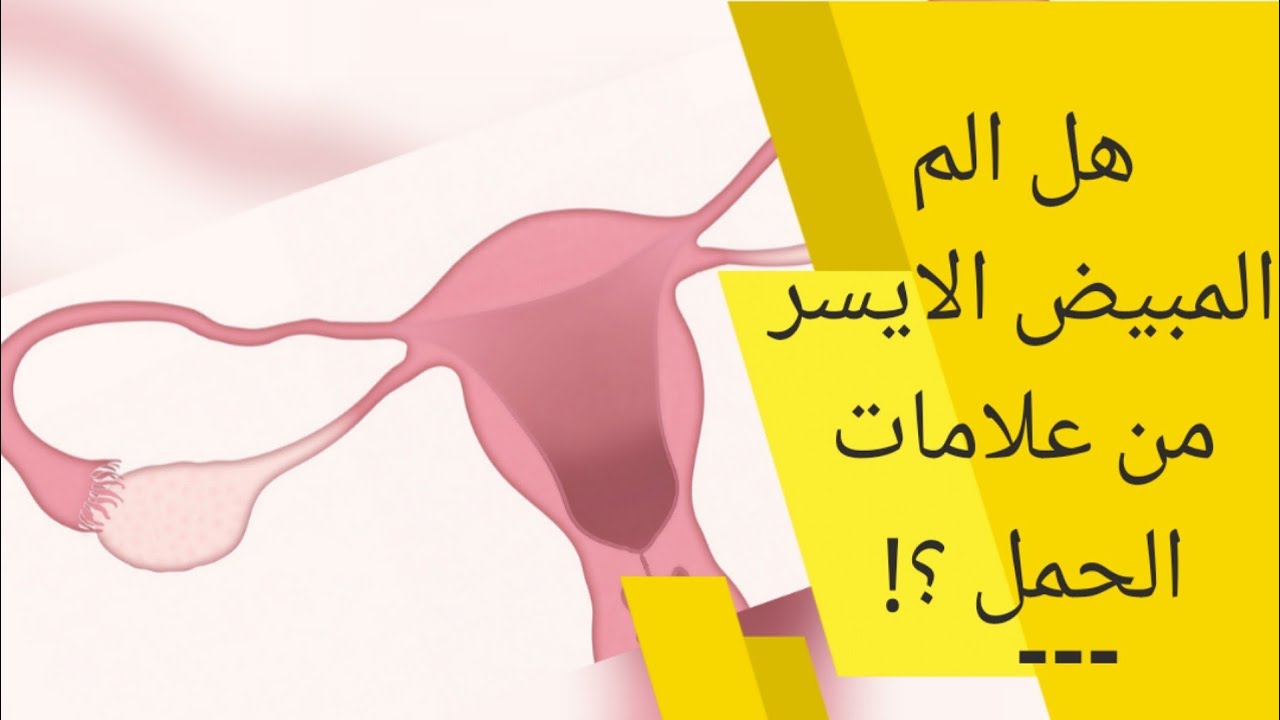 الم المبيض الايسر من علامات الحمل او من علامات الحمل بولد 3alamat Alhaml Youtube